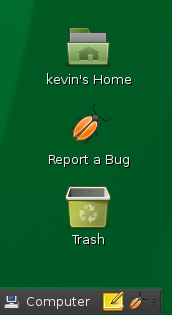 Bug icon