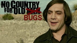 no_country_for_old_bugs
